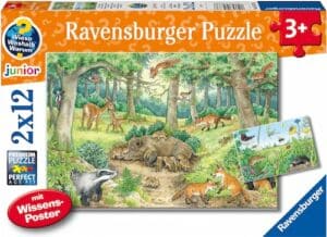 Ravensburger Puzzle »Wieso? Weshalb? Warum? Junior